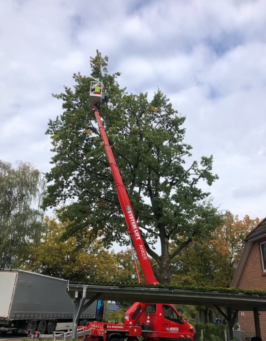 Baumschneider im Kran bei professioneller Baumpflege rund um Lüneburg