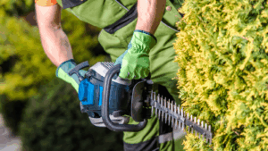 Fachgerechter Heckenschnitt von Baum- & Gartenpflege Köllmann in Lüneburg & Umgebung